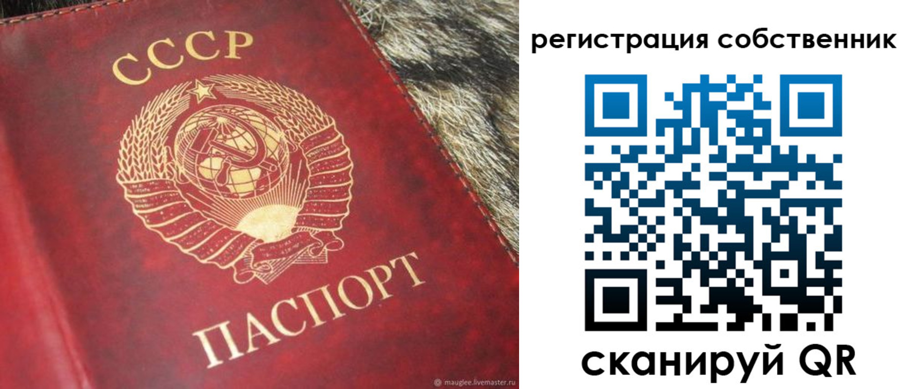 временная регистрация надежно в Ершове