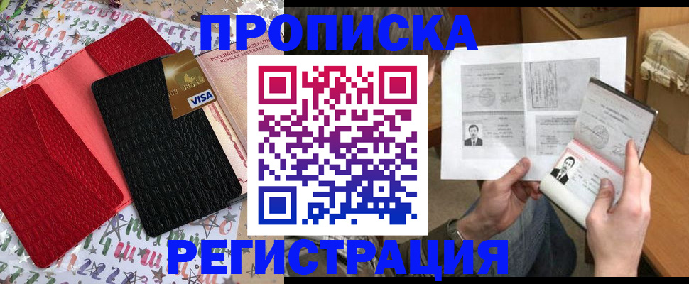 прописка поиск в Ершове